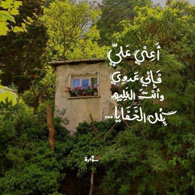 Roaa Ayman