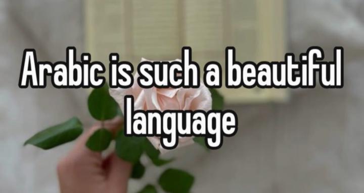 Learn Arabic With Nader