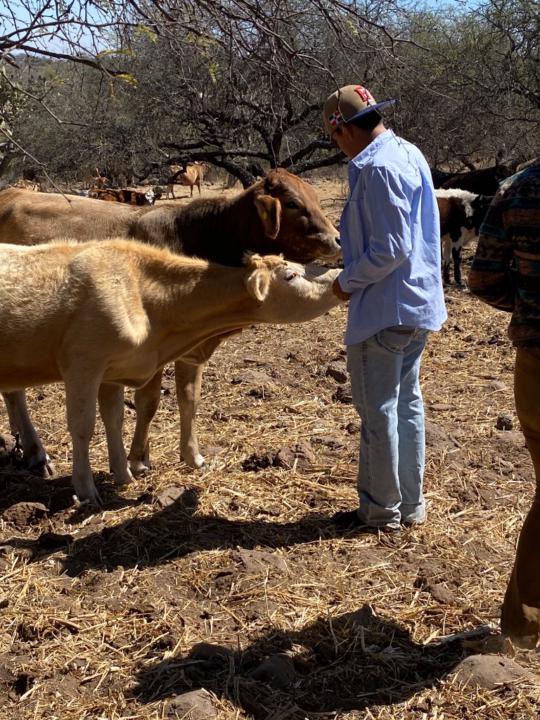 José Maria Trejo alonso