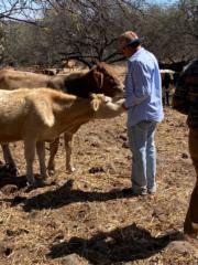 José Maria Trejo alonso
