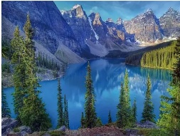 דוד מאיר פרידמן