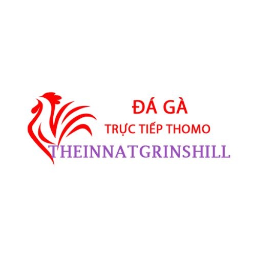 Đá Gà Trực Tiếp Thomo