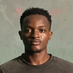 Emmanuel Martin-Okwu