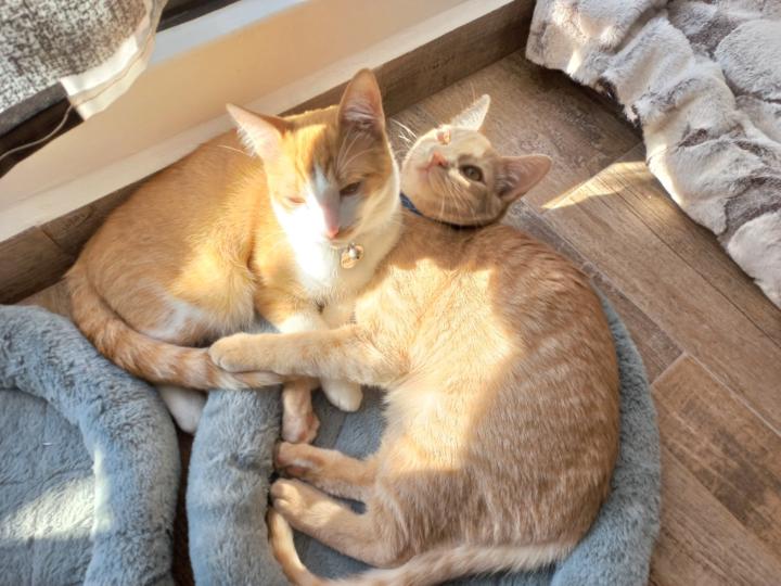 Hilda patricia Hernández león