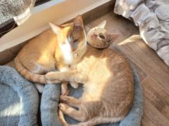 Hilda patricia Hernández león