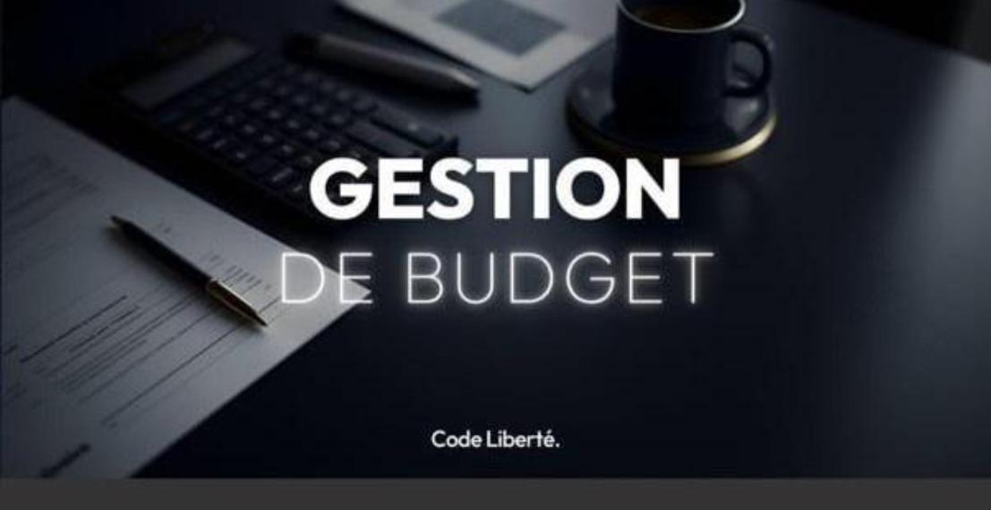 GESTION DE BUDGET & INVESTIMENT