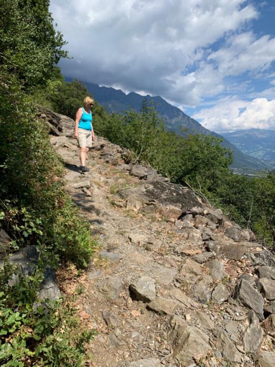 Monika Armbruster