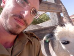 אורן האוזי
