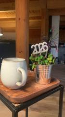 Birgit Schweighoefer