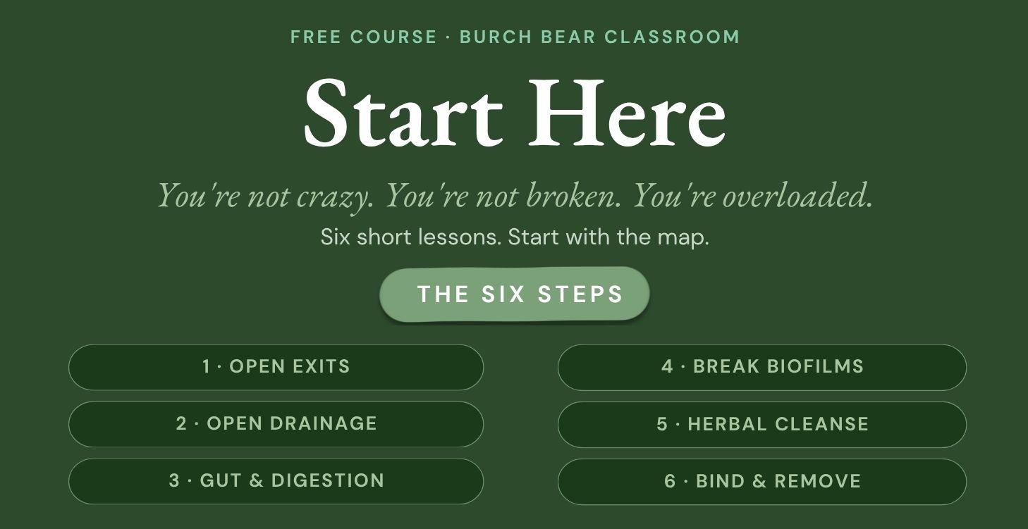 Start Here (Free)
