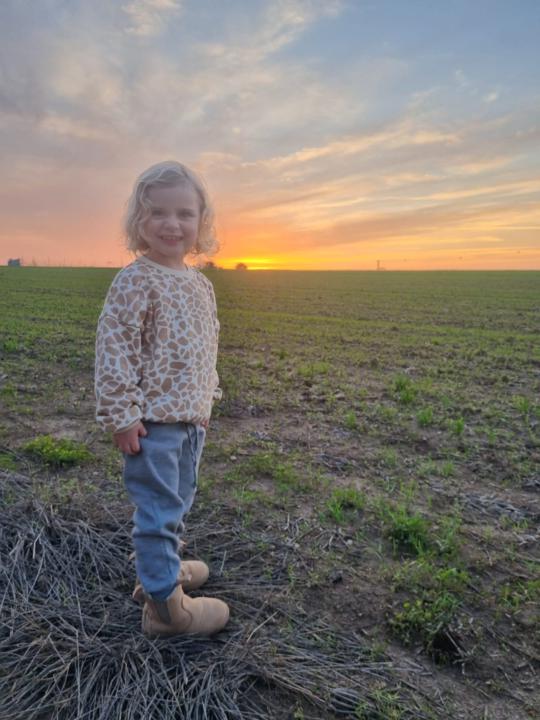 טל מדזינסקי