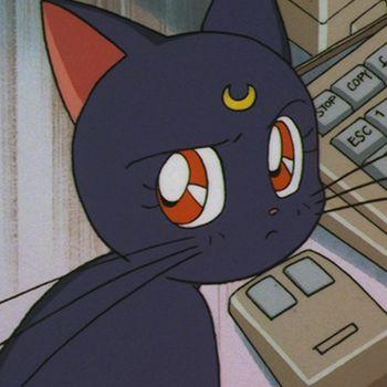 Yarely Moscoso García