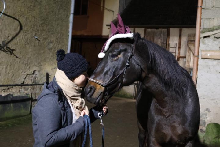 Stephi Seidenspinner