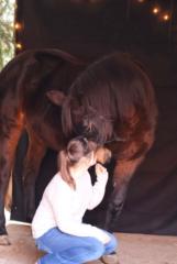 Stephi Seidenspinner