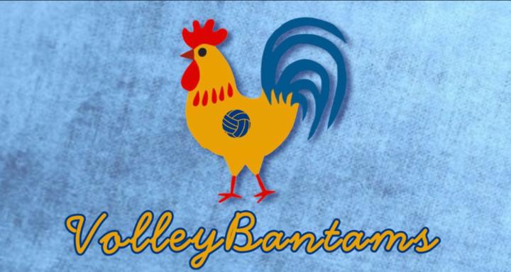 VolleyBantams