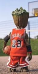 Pro Hoopdreams