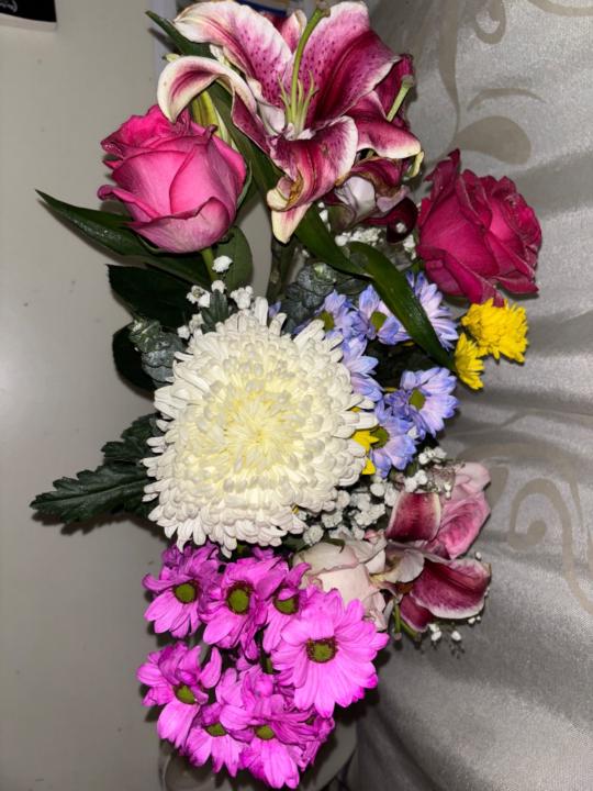 Nomin Bolor