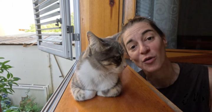 Melissa's Cat Rescue