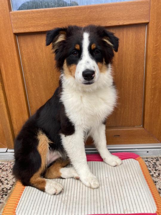 Kateřina Kobáňová