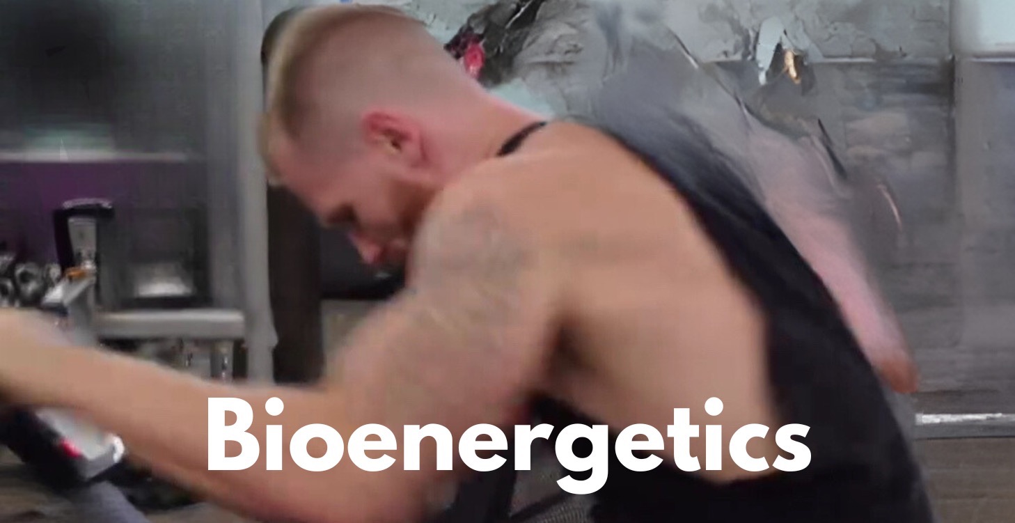 Bioenergetics