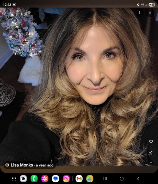 Lisa Monks