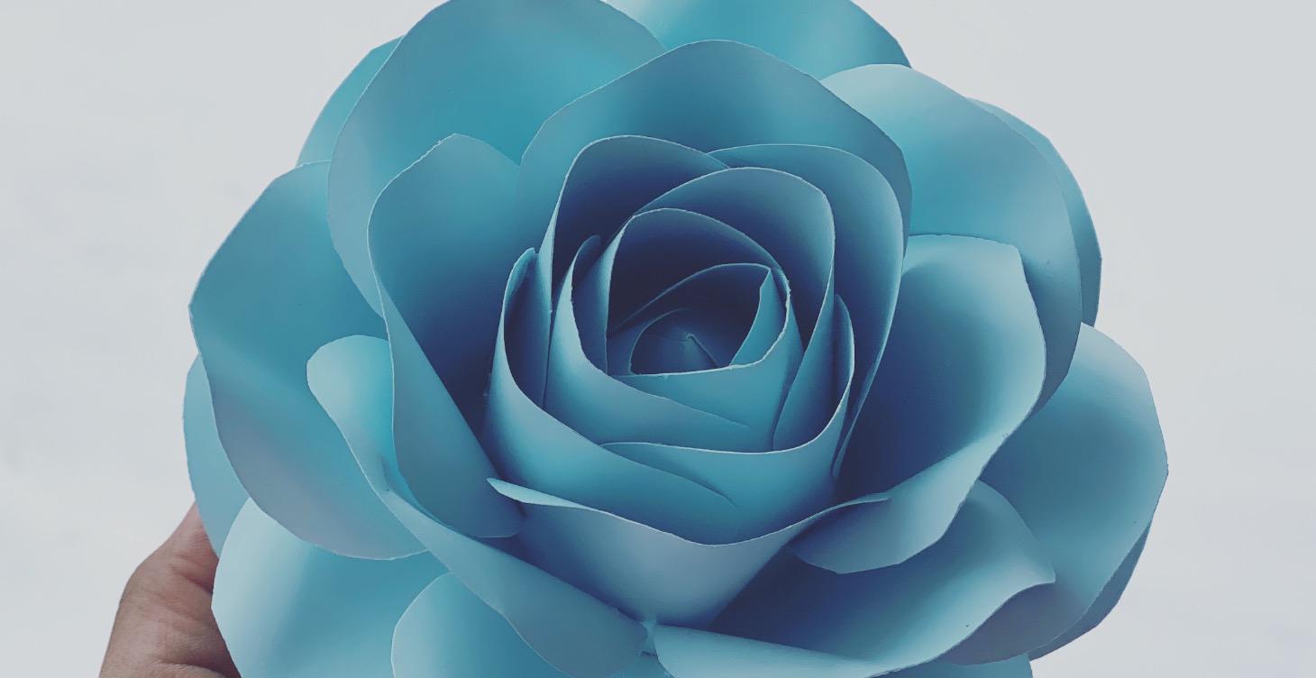 🌸 Winter Bloom Box — Soft Beginnings