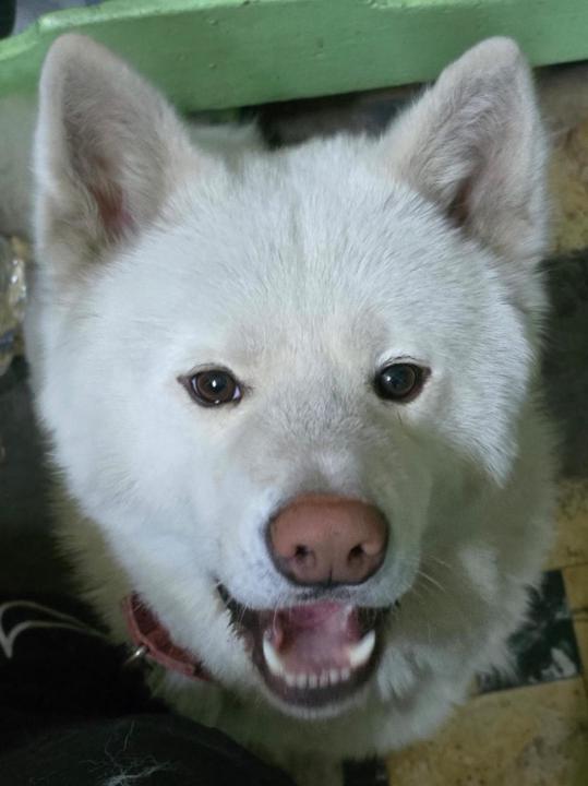 Catalina Sánchez Gómez