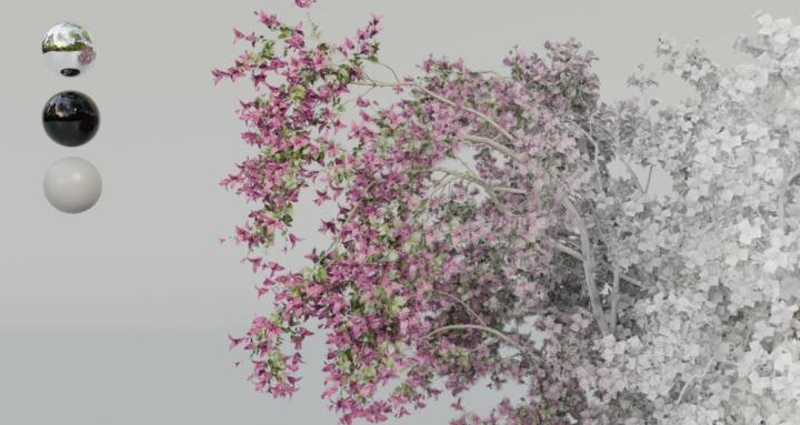 GreenSpline