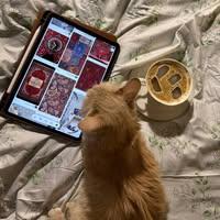 سجى ماجد عامر