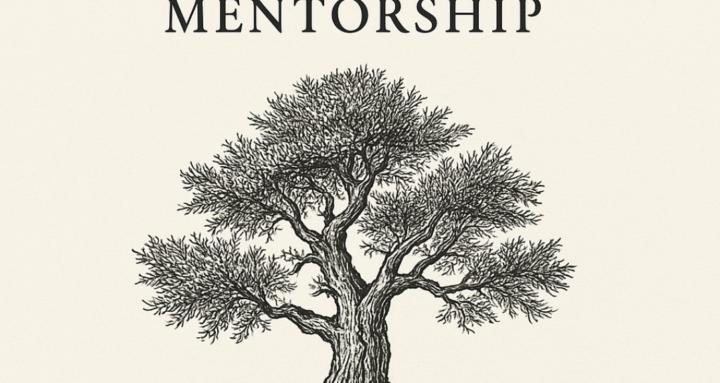 Transcendental Mentorship 