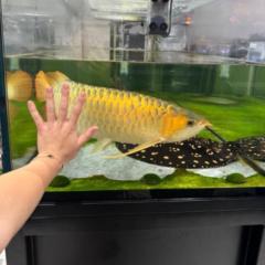 Konstantina Anastasiadou