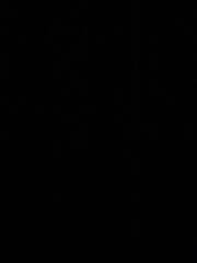 A T