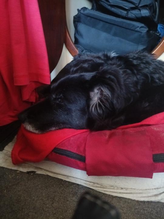 Guillermo Mira espinosa