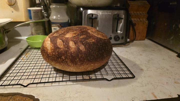 My first. Come back loaf  she is....
