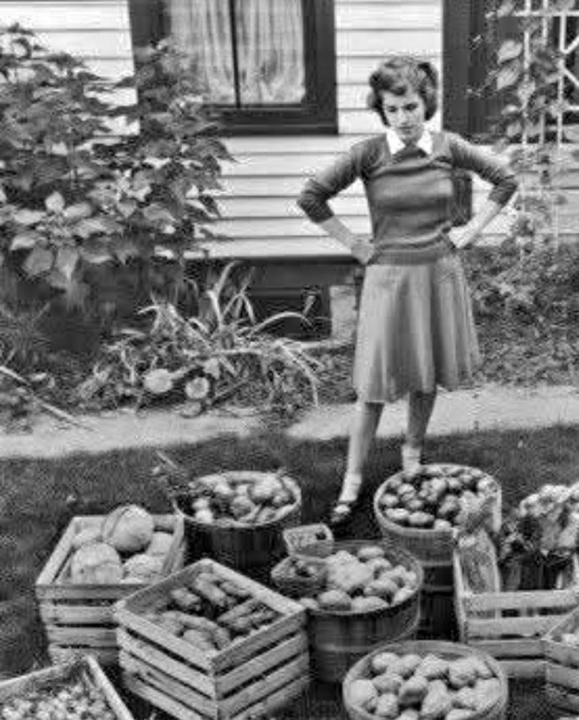 Food security