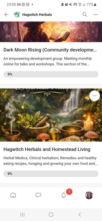 Energetics, Tissue States and Herbal Actions