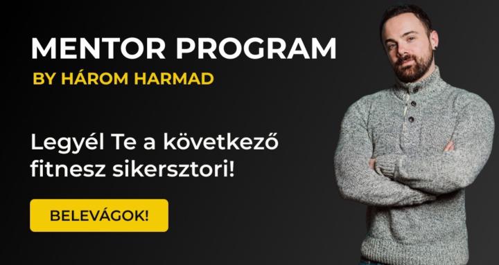 Három Harmad Mentor Program