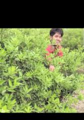 Noman Haider