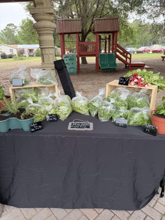 Selling at the Market