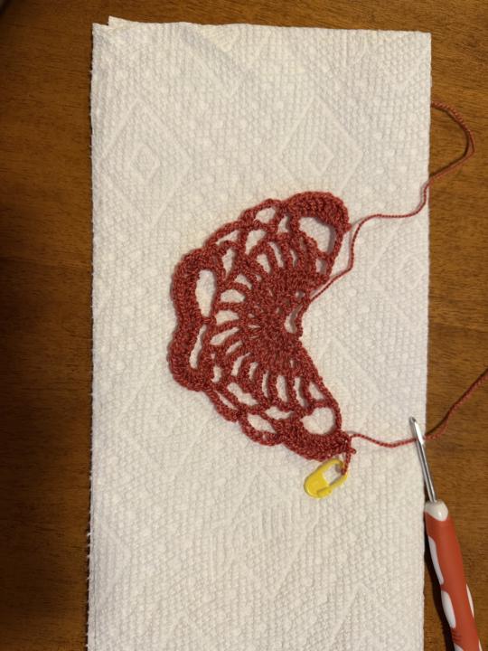 Started a shawl while traveling