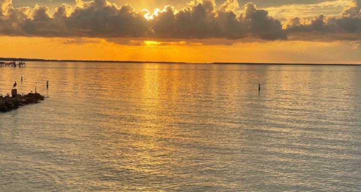 Artistic Musians and skaters