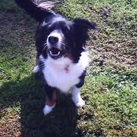 Carolyn Hughes-Dyson