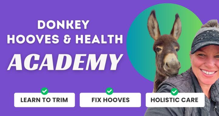 Donkey Hooves & Health Academy