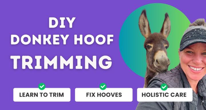 DIY Donkey Hoof Trimming