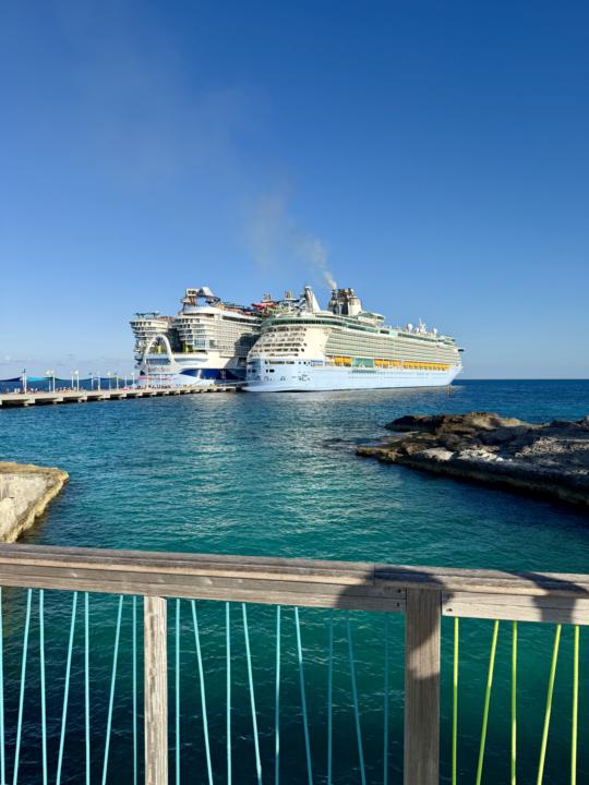 What is everyone’s honest thoughts on cruise gratuities?