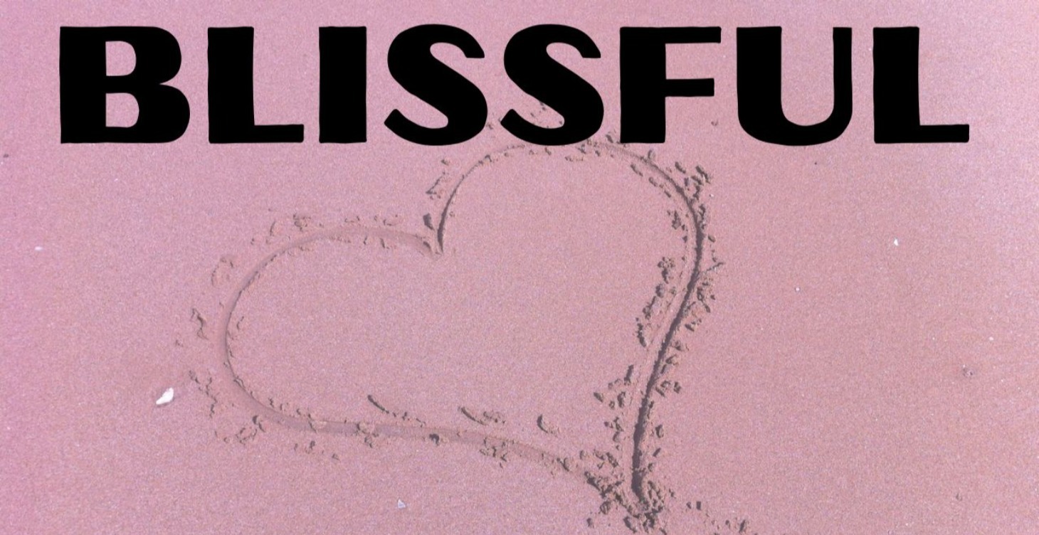 B.L.I.S.S.F.U.L