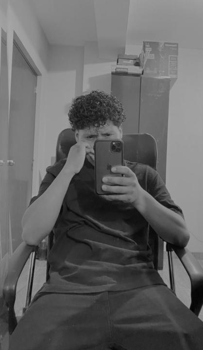 Luis Alberto Huari Bravo