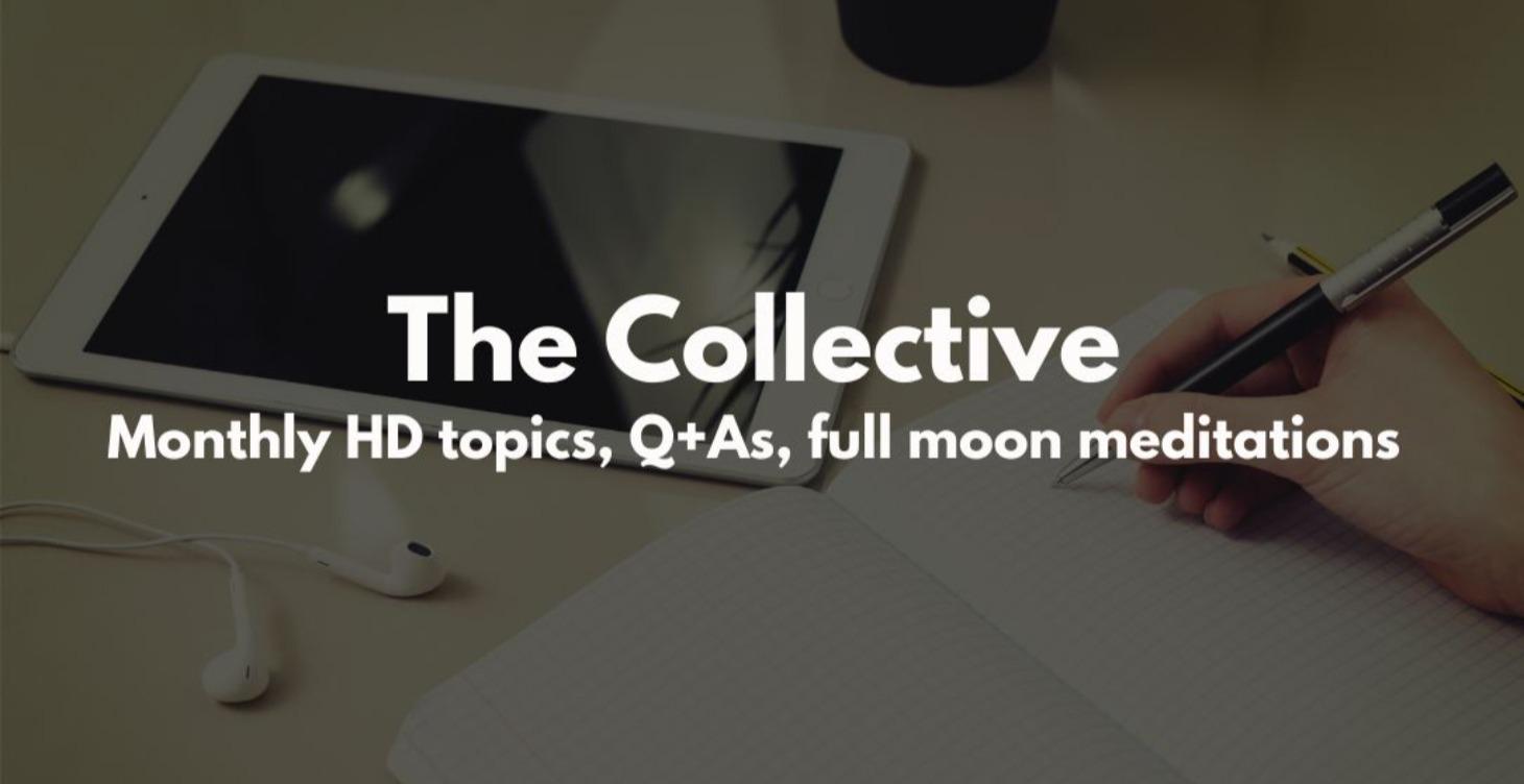 🫶 The Collective
