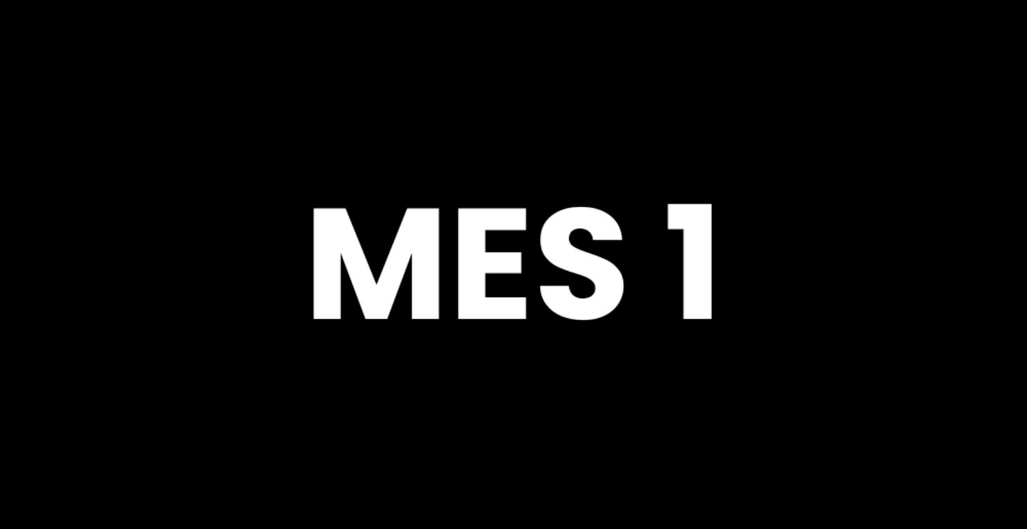 1. MES 1