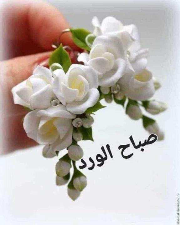 Ghada Ahmed